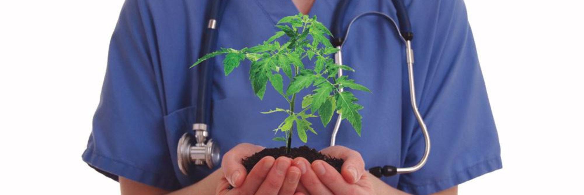 hospital worker holding plant